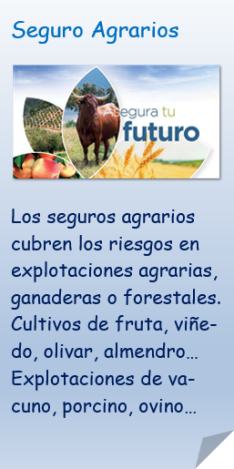 Seguros agrarios y ganaderos. Los seguros agrarios cubren los riesgos en explotaciones agrarias, ganaderas o forestales. Cultivos de fruta, viñedo, olivar, almendro… Explotaciones de vacuno, porcino, ovino…
